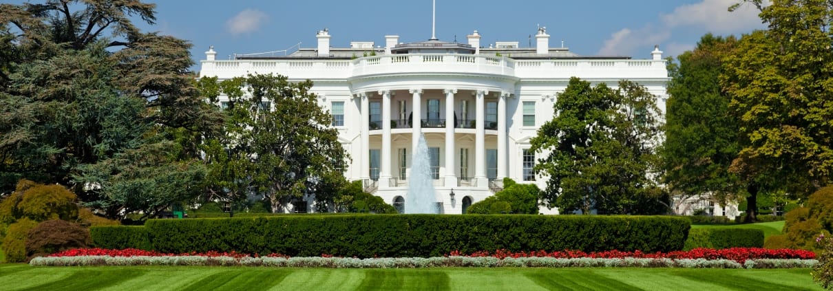 Image of the White House Lawn